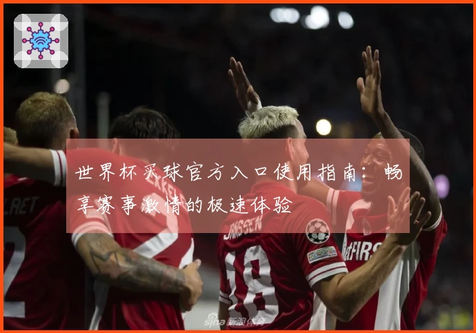 世界杯买球官方入口使用指南：畅享赛事激情的极速体验