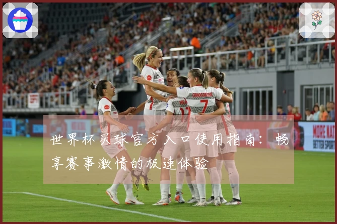 世界杯买球官方入口使用指南：畅享赛事激情的极速体验